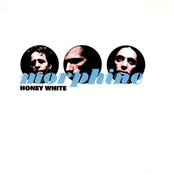 Honey White