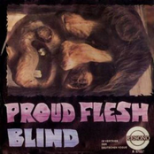 Blind