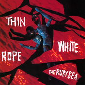 The Lady Vanishes by Thin White Rope