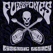 This Sinister Urge by The Fuzztones