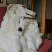 Therefore You and Me