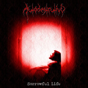 Sorrowful Life