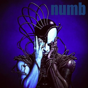 N.U.M.B.