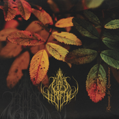 Remnants for Remembrance