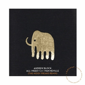 All I Need (The Noisy Freaks Remix)