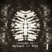 Haruspex / Void