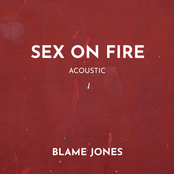 Sex on Fire (Acoustic)