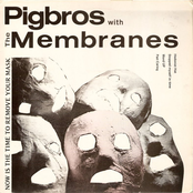 pigbros with the membranes