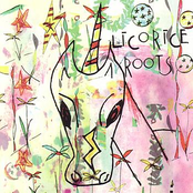 Meteor Queene by Licorice Roots
