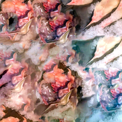 A Million Colored Fish