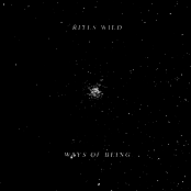 Ways of Being LP (2012, Not Not Fun Records)