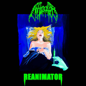 Reanimator