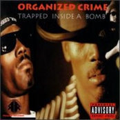 Organized Crime