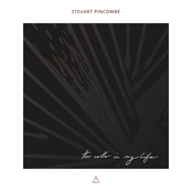 the cello in my life