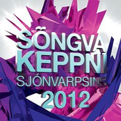 Söngvakeppni Sjónvarpsins 2012