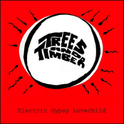 Electric Gypsy Lovechild