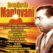 the mantovani collection