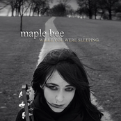 While You Were Sleeping E.P