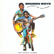 Ring Of Fire by Bhundu Boys