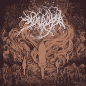 Небо медного цвета