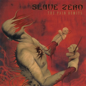 The Pain Remits by Slave Zero