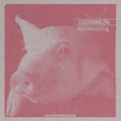 Whitest Tightest by Electronic Pig