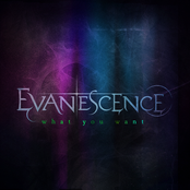 What You Want (elder Jepson Remix) by Evanescence