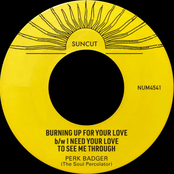 Burning Up For Your Love b/w I Need Your Love To See Me Through