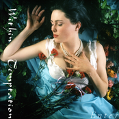 Within Temptation: Enter