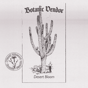 Desert Bloom
