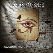 Comfortably Numb / Some Kind of Stranger