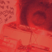 moon jelly / not enough to say that i miss you