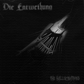 The Hallucinations by Die Entweihung