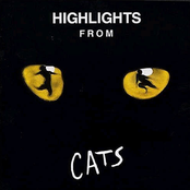Highlights From Cats Artwork