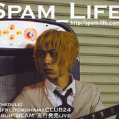 Spam_life