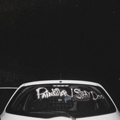 Painkiller / Stray Dog