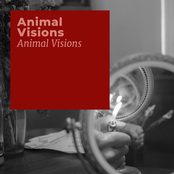 Animal Visions
