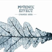 Broken Promises by Phoenix Effect