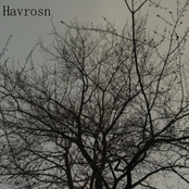 Havrosn
