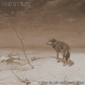 When the cold earth rest in silence