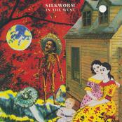 Silkworm: In The West