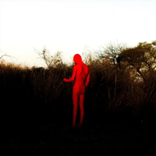 Militantes del Yogur