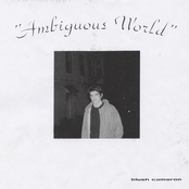 Ambiguous World