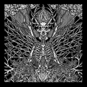 Subterranean Realms of Gravitation