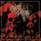 Memoirs Of Death - The History 1986-1995