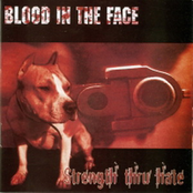 New Confederacy by Blood In The Face