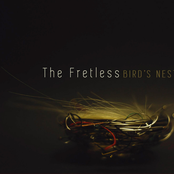 The Fretless: Bird's Nest
