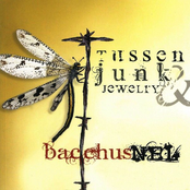 Tussen Junk & Jewelry