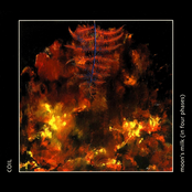 Moon's Milk (In Four Phases)