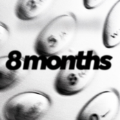 8 Months